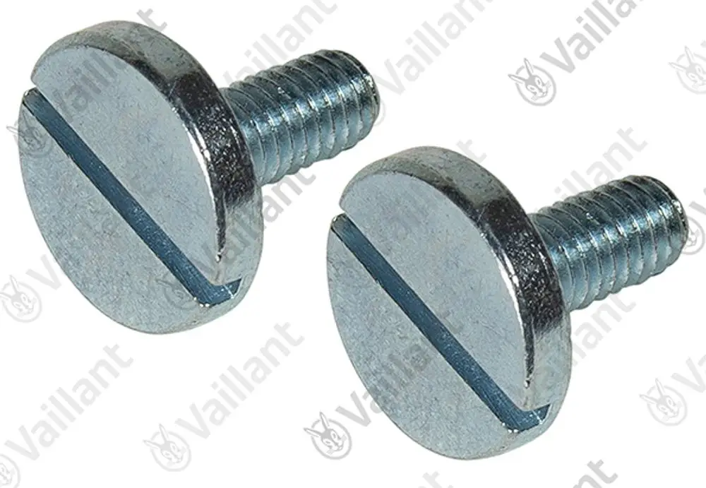 Zwei metallische Schrauben von Vaillant mit einem flachen Kopf und einer Schlitzaufnahme, zur Verwendung in verschiedenen Anwendungen.